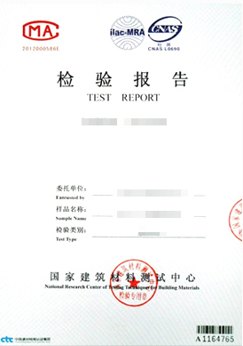 檢測報告