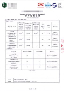 分析檢測報告